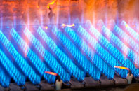 Sankyns Green gas fired boilers